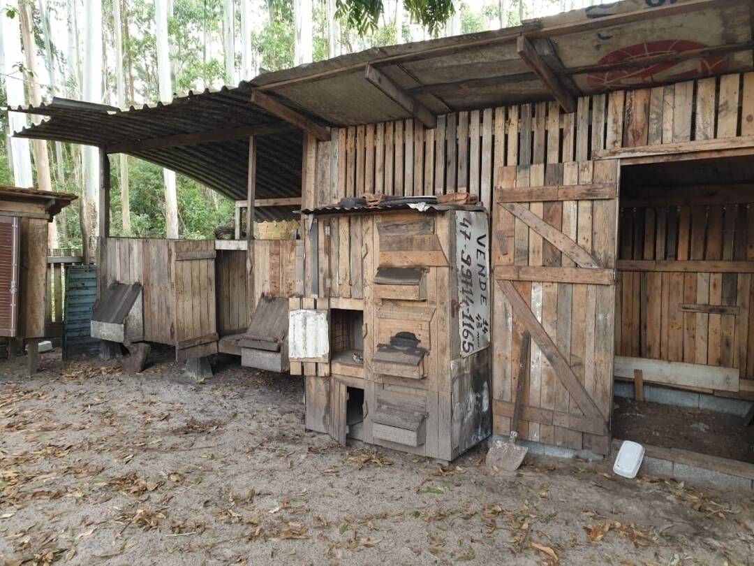 Fazenda à venda com 3 quartos, 108m² - Foto 16