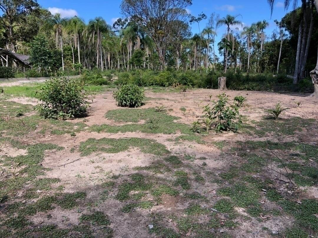 Fazenda à venda com 3 quartos, 221m² - Foto 50