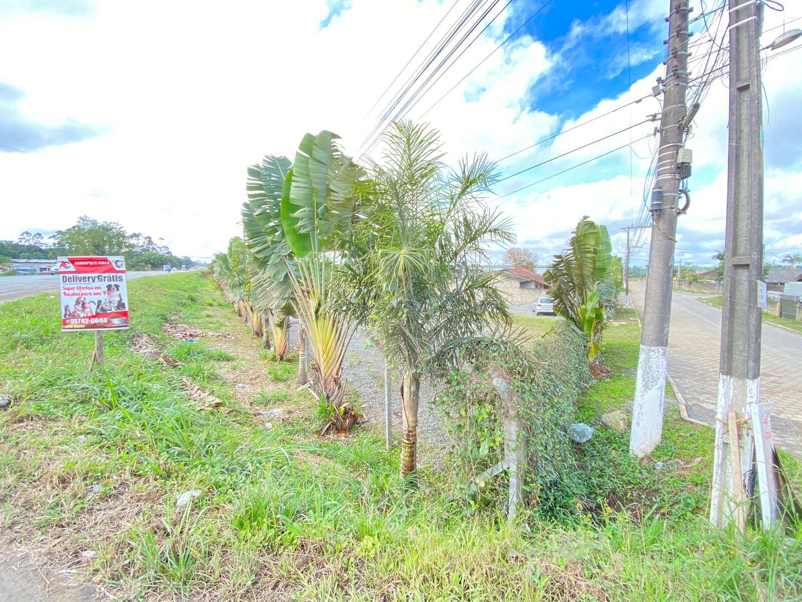 Terreno à venda, 3780m² - Foto 8