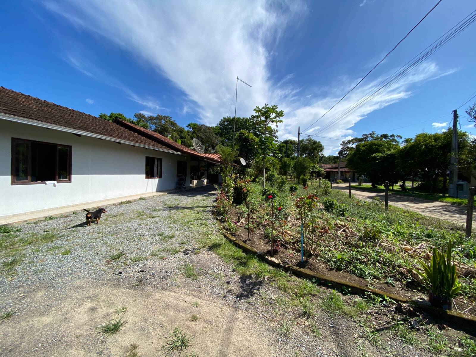 Fazenda à venda com 4 quartos, 189m² - Foto 1