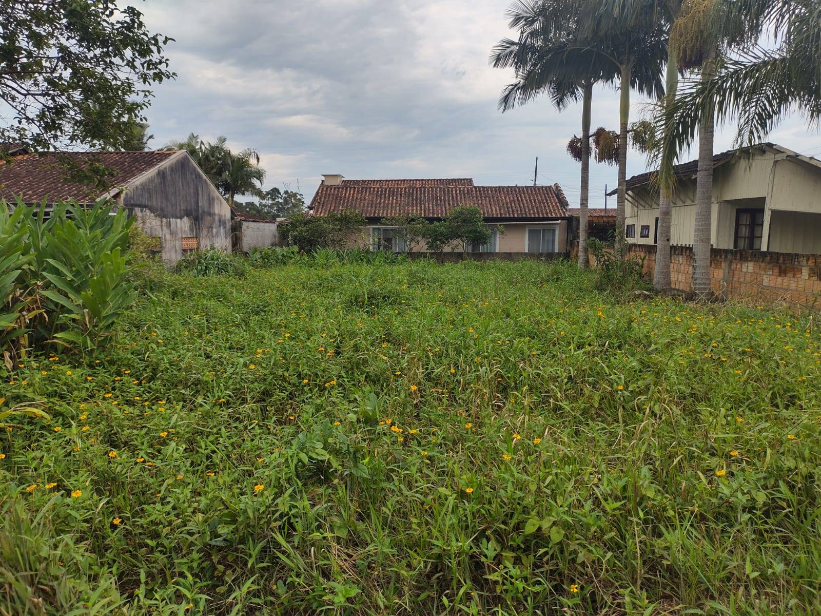 Terreno à venda, 360m² - Foto 3