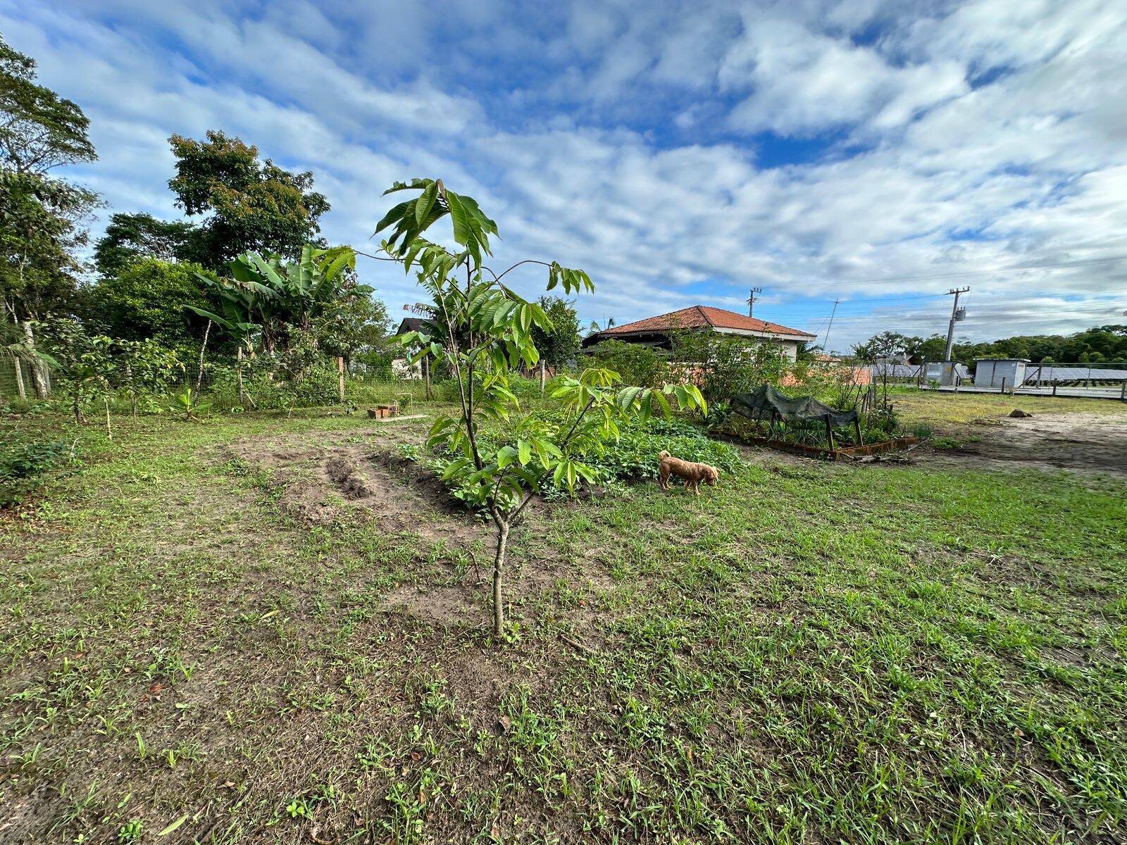 Terreno à venda, 80m² - Foto 19