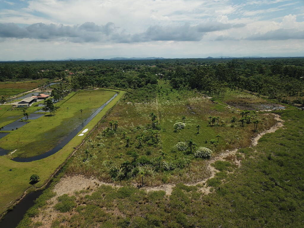 Terreno à venda, 9914m² - Foto 6