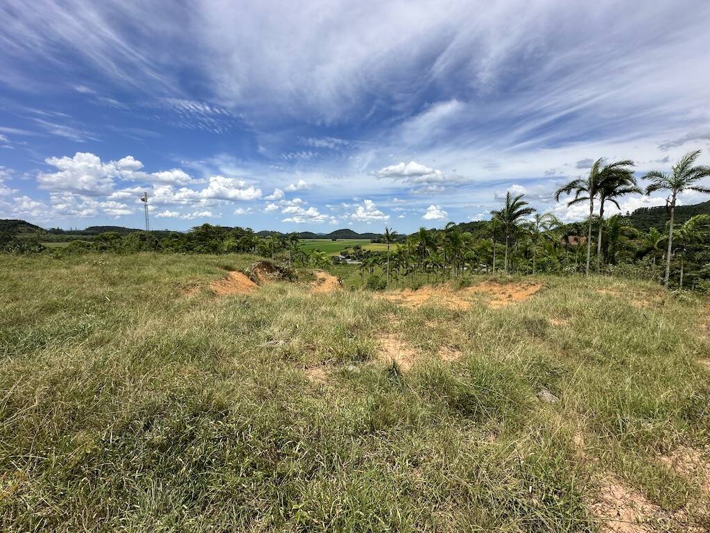 Terreno à venda - Foto 4