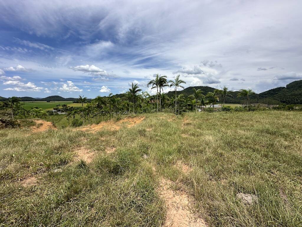 Terreno à venda - Foto 6