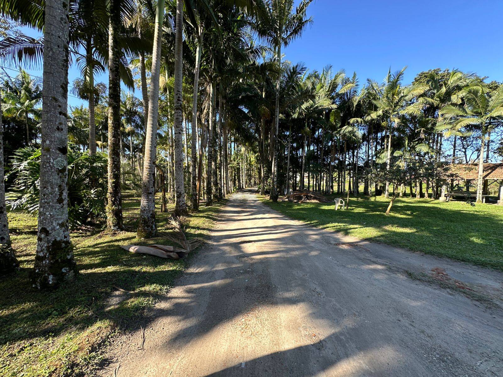 Fazenda à venda com 4 quartos, 230m² - Foto 7