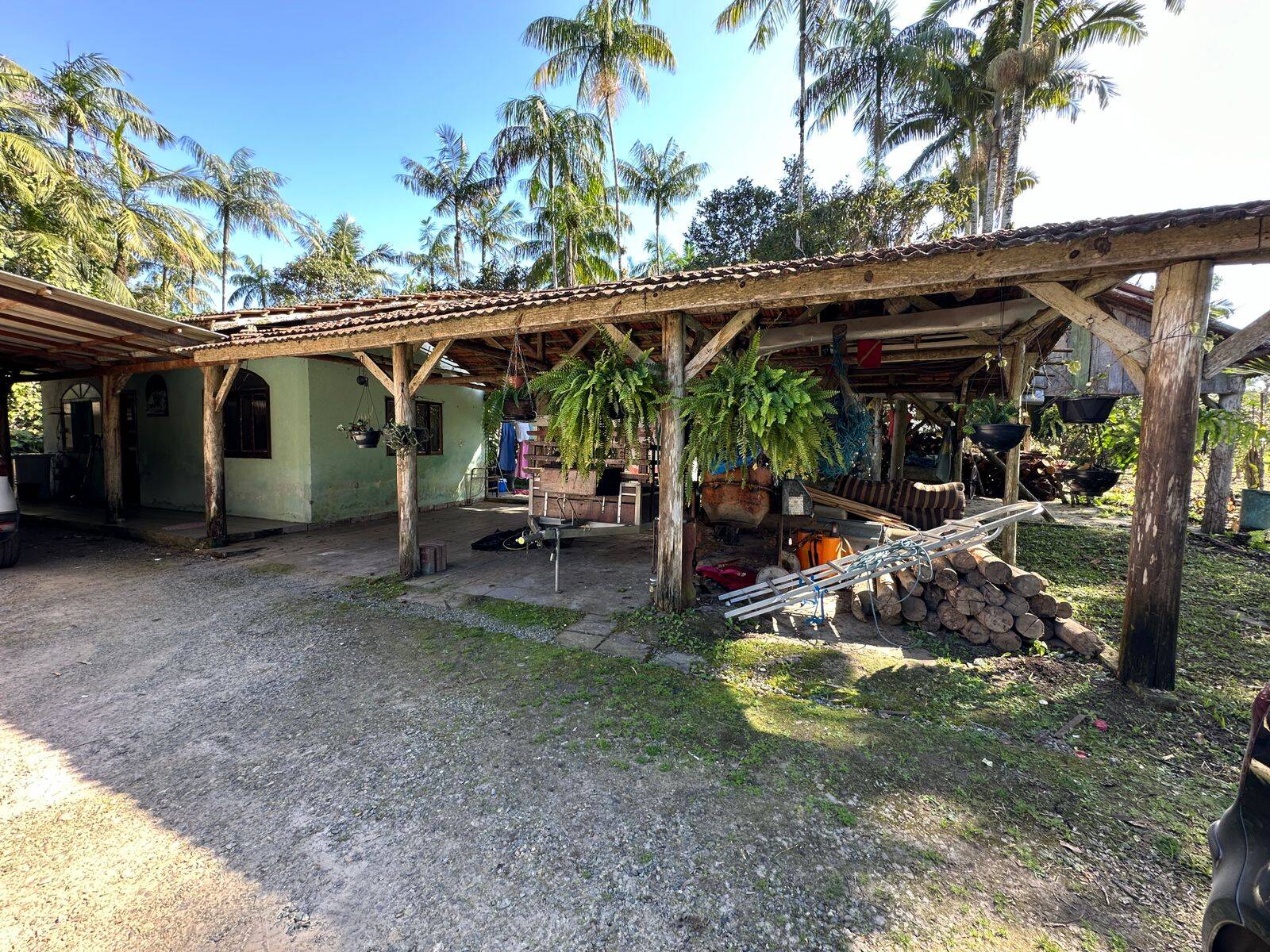 Fazenda à venda com 4 quartos, 230m² - Foto 19