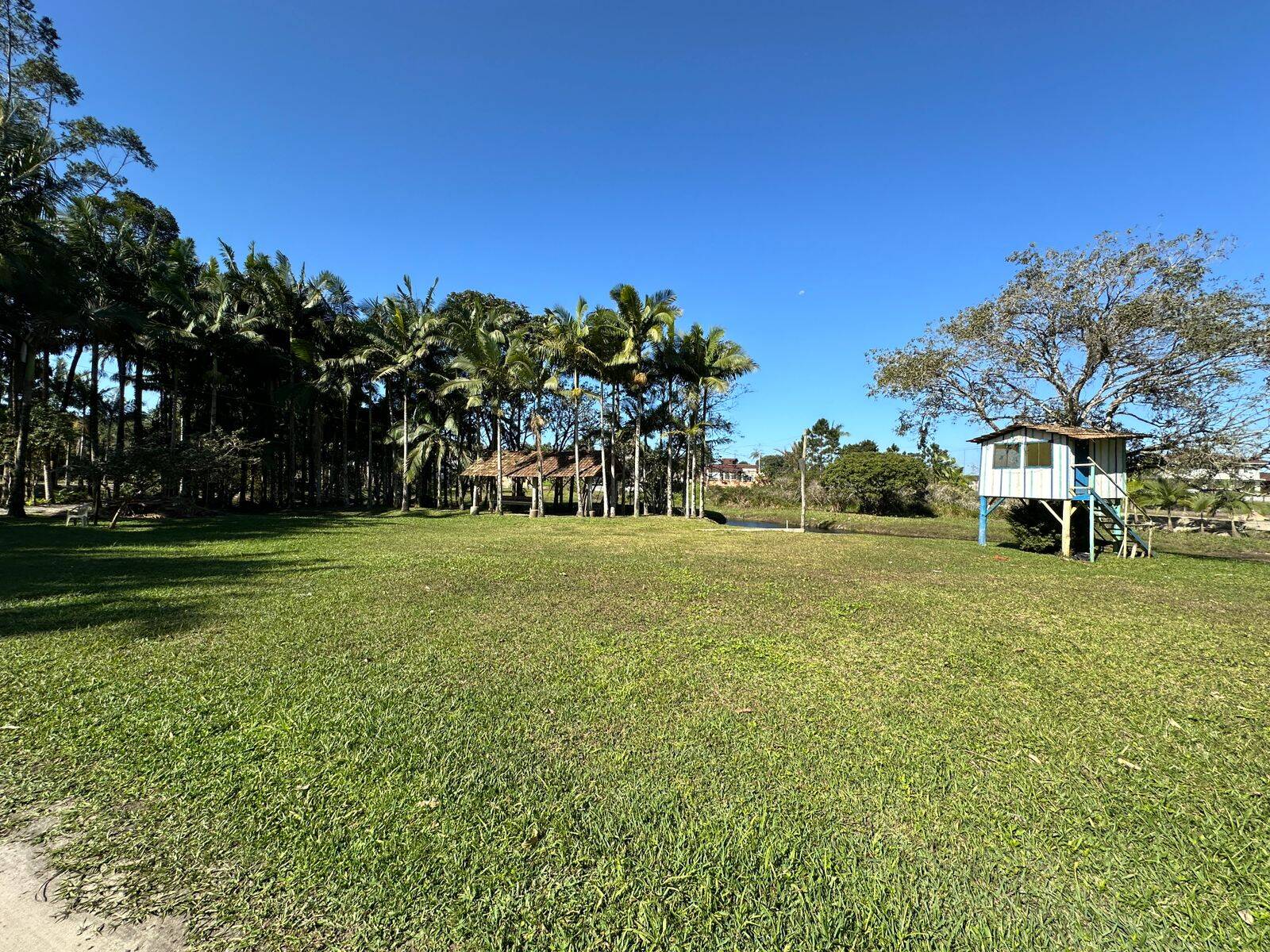 Fazenda à venda com 4 quartos, 230m² - Foto 10