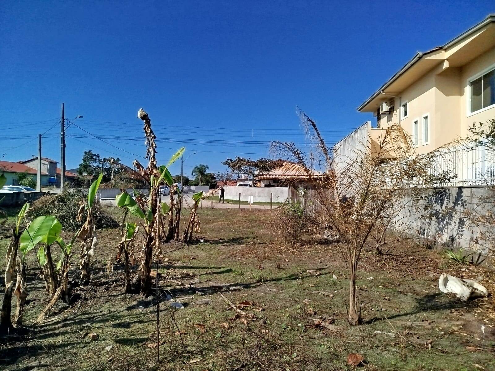 Terreno à venda, 302m² - Foto 2