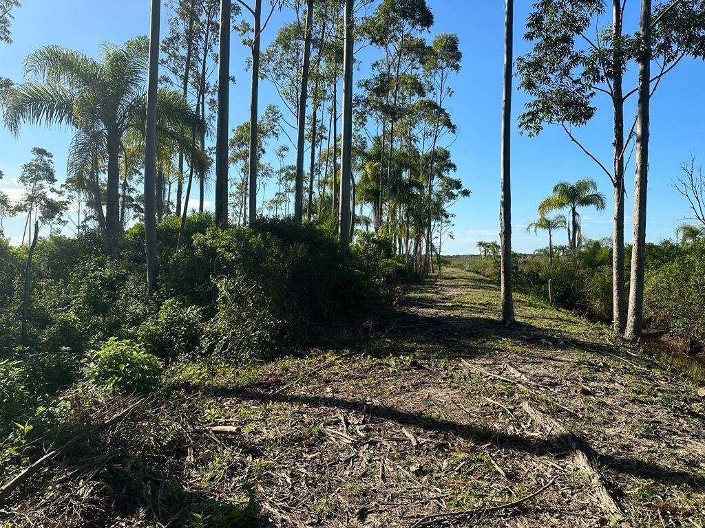 Fazenda à venda com 2 quartos, 165m² - Foto 34