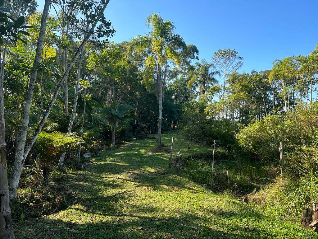 Fazenda à venda com 2 quartos, 165m² - Foto 35