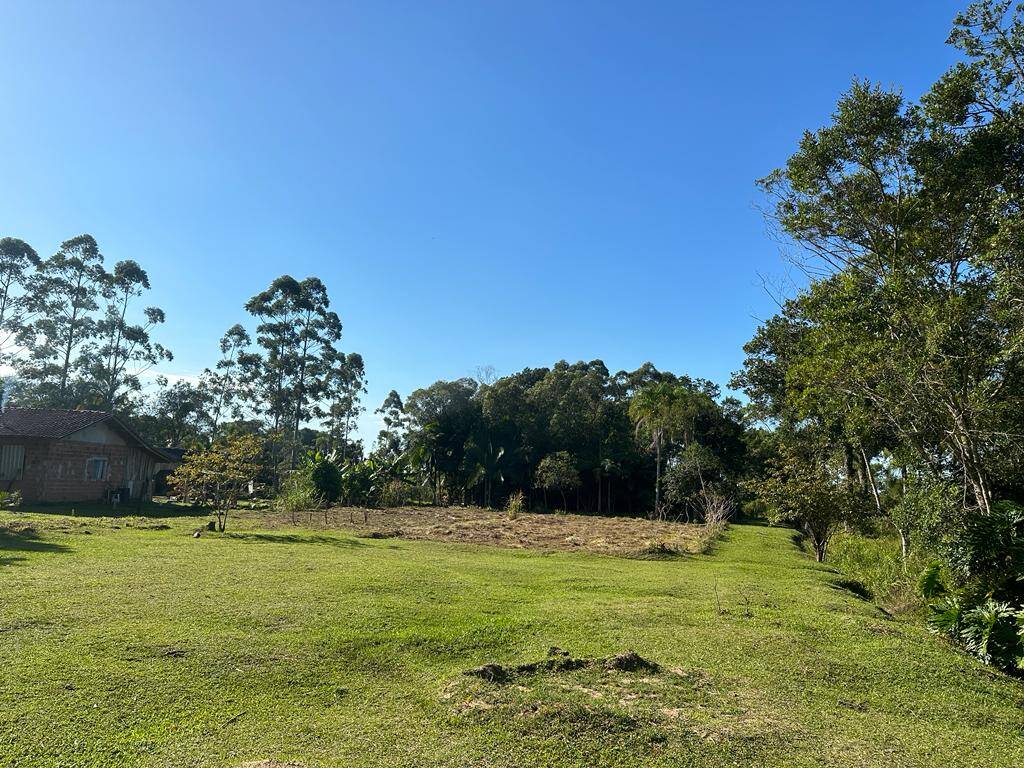 Fazenda à venda com 2 quartos, 165m² - Foto 38