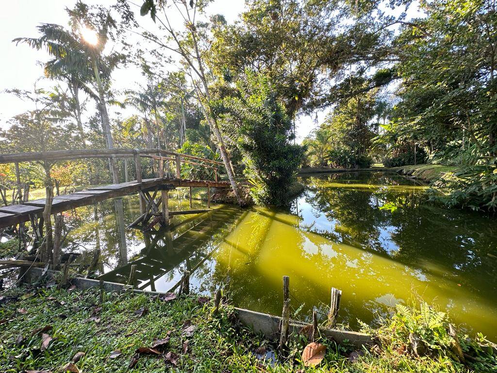 Fazenda à venda com 2 quartos, 165m² - Foto 41