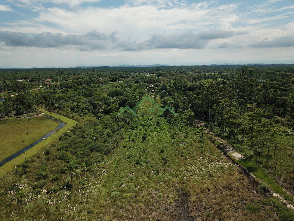 Fazenda à venda com 2 quartos, 165m² - Foto 50