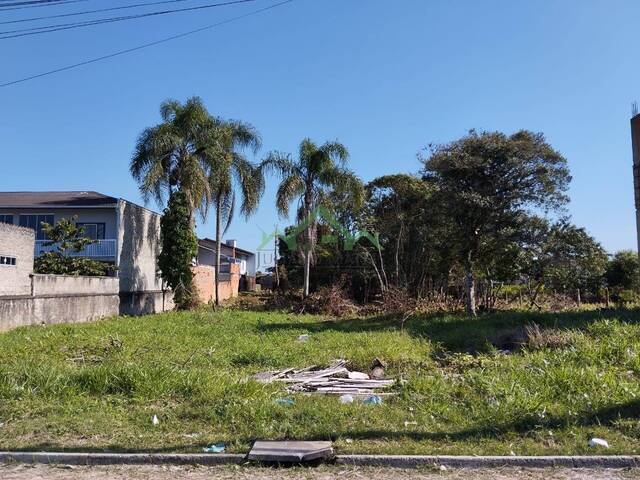 #2584 - Terreno para Venda em Balneário Barra do Sul - SC - 1