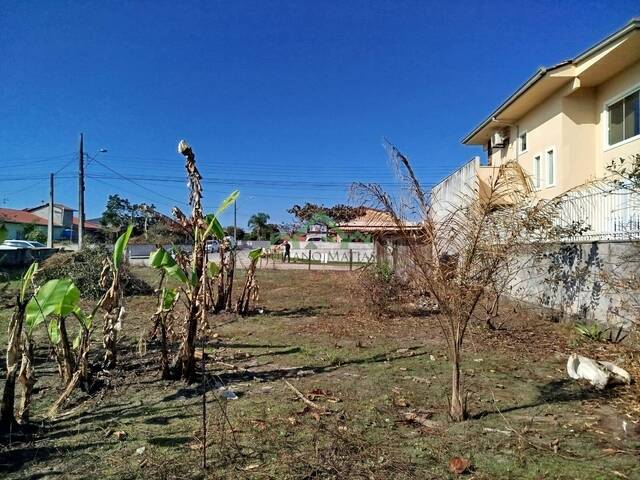 #2667 - Área para Venda em Balneário Barra do Sul - SC