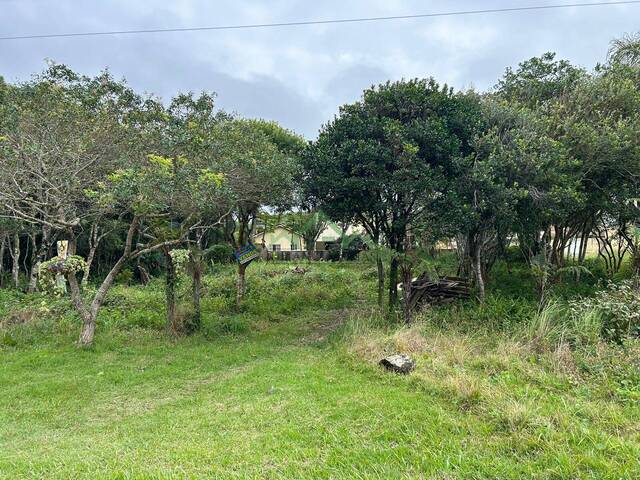 #2693 - Terreno para Venda em Balneário Barra do Sul - SC - 2