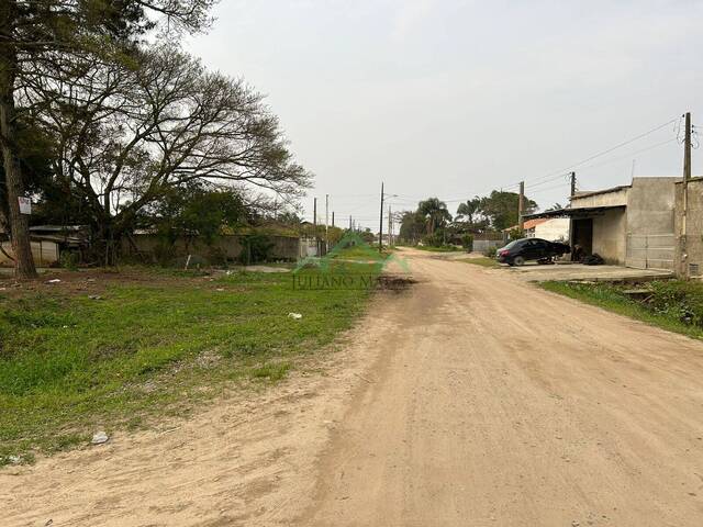 #2695 - Terreno para Venda em Balneário Barra do Sul - SC - 2