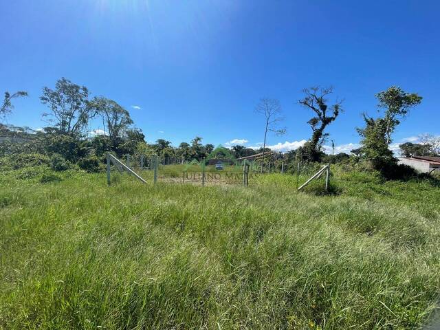 #2756 - Terreno para Venda em Balneário Barra do Sul - SC - 3