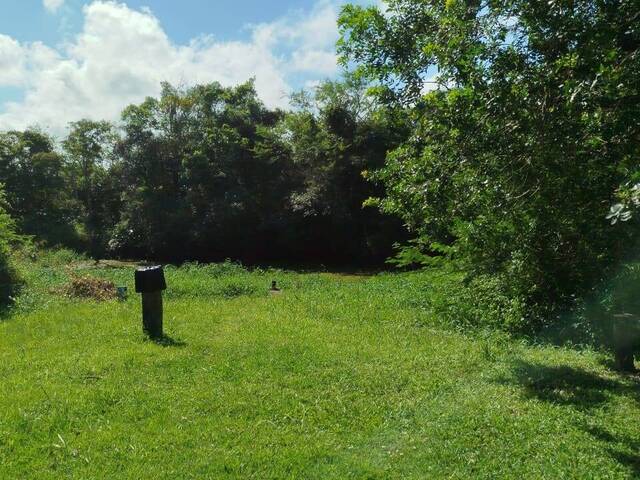 Venda em Centro - Balneário Barra do Sul