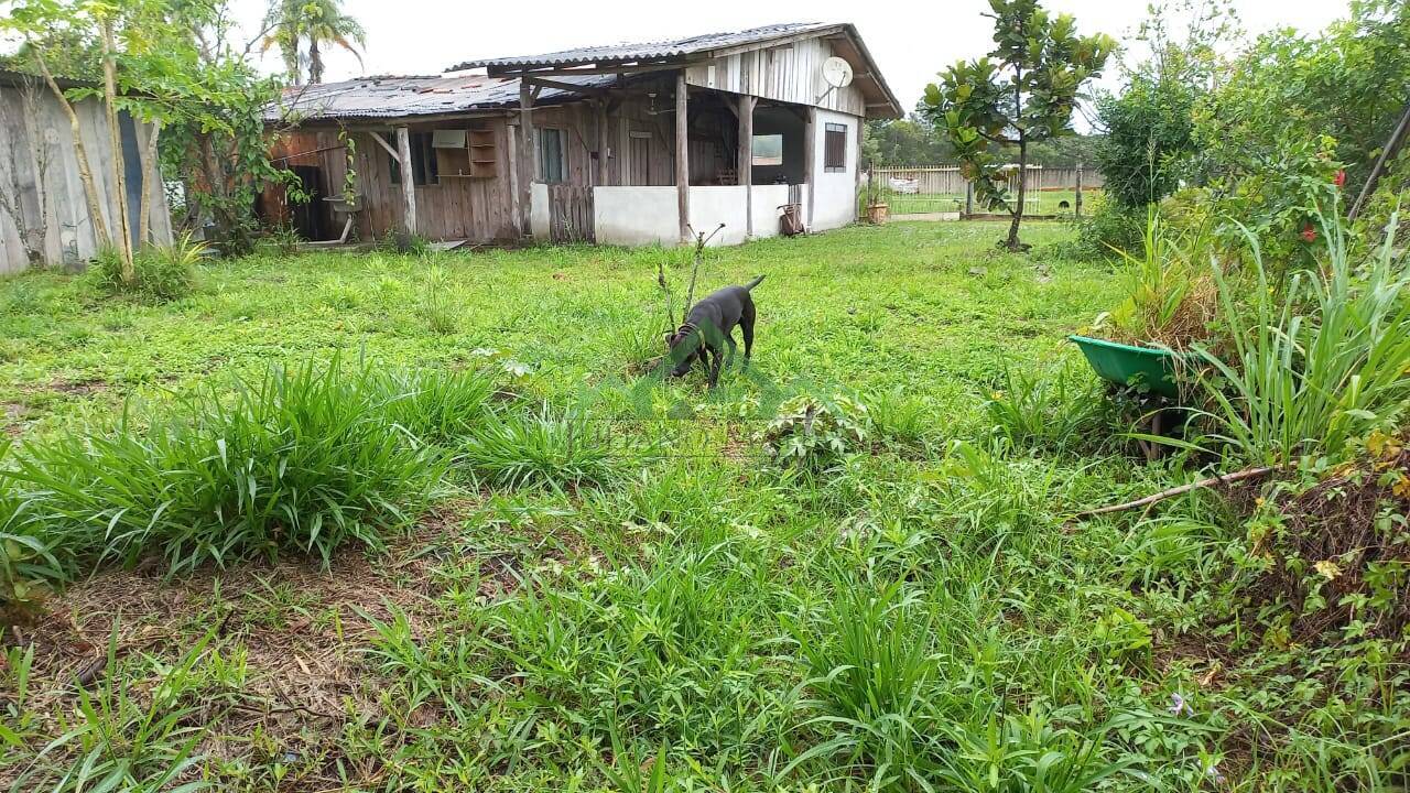 Fazenda à venda com 3 quartos, 130m² - Foto 3