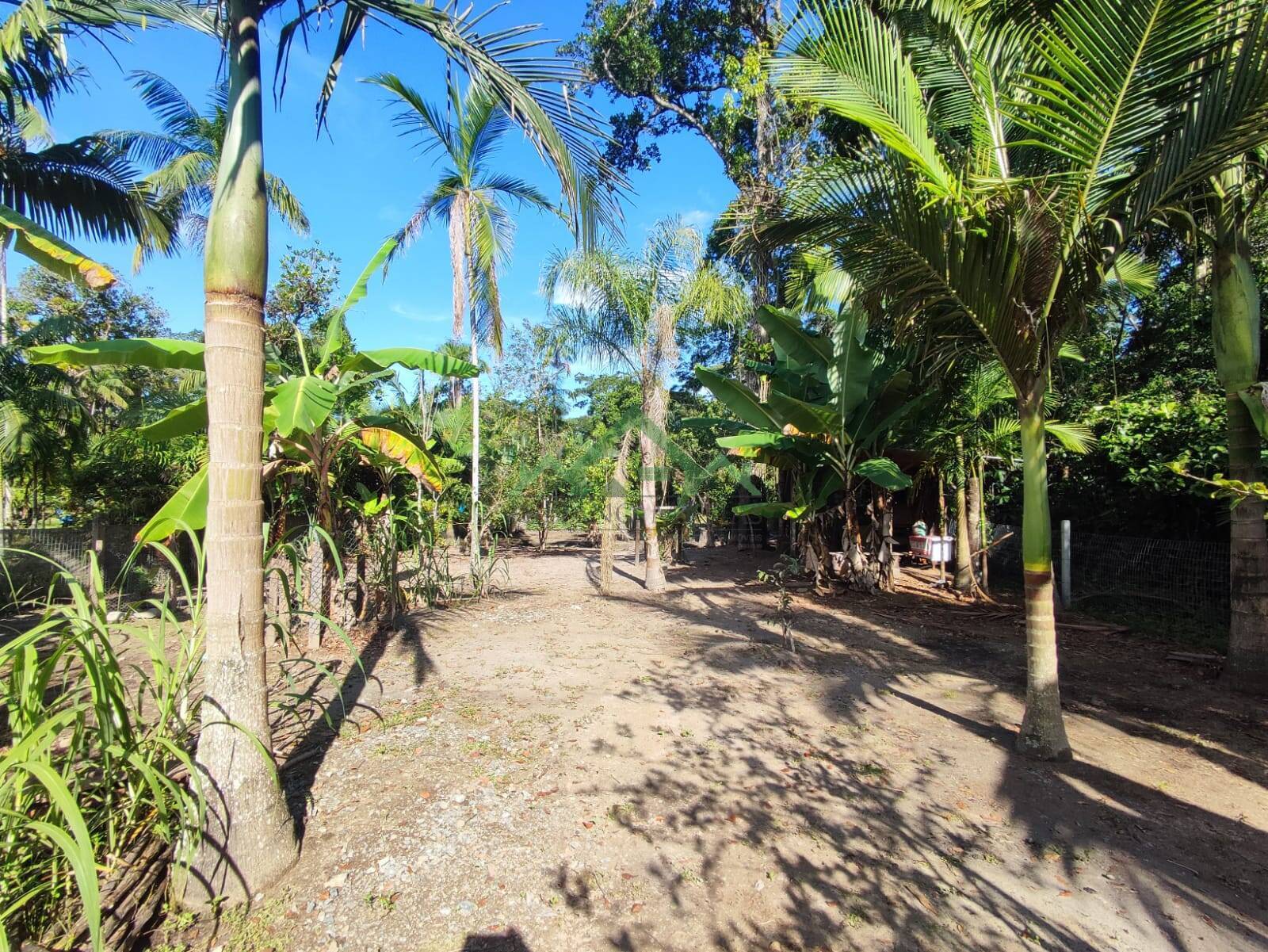 Fazenda à venda com 3 quartos, 115m² - Foto 21