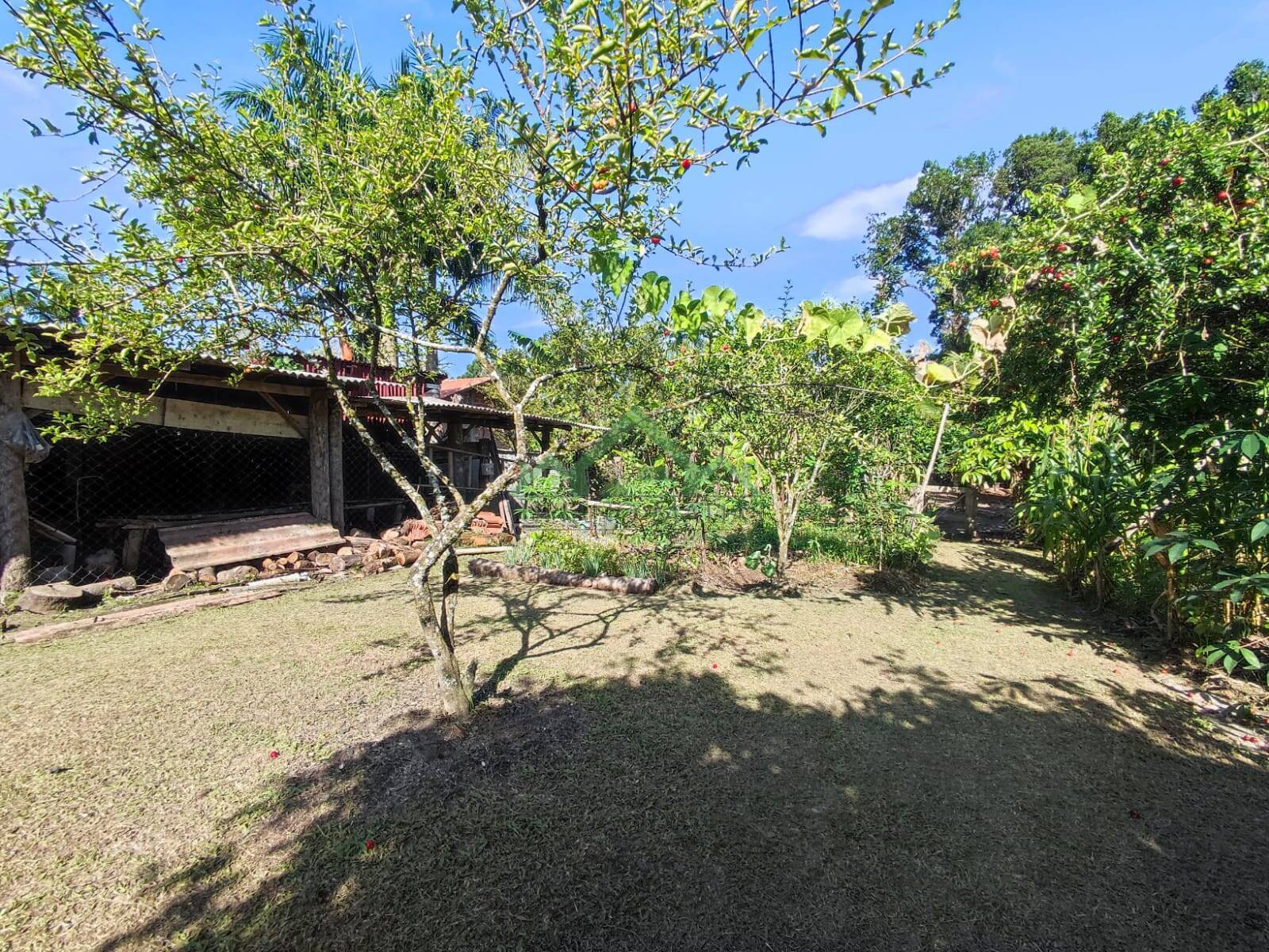 Fazenda à venda com 3 quartos, 115m² - Foto 18