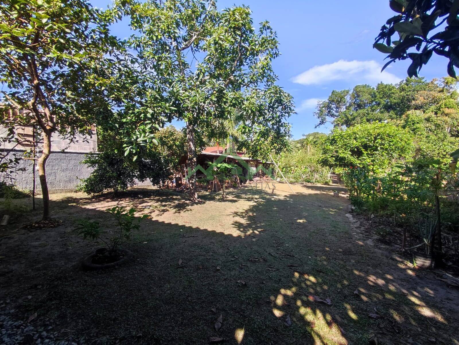 Fazenda à venda com 3 quartos, 115m² - Foto 16