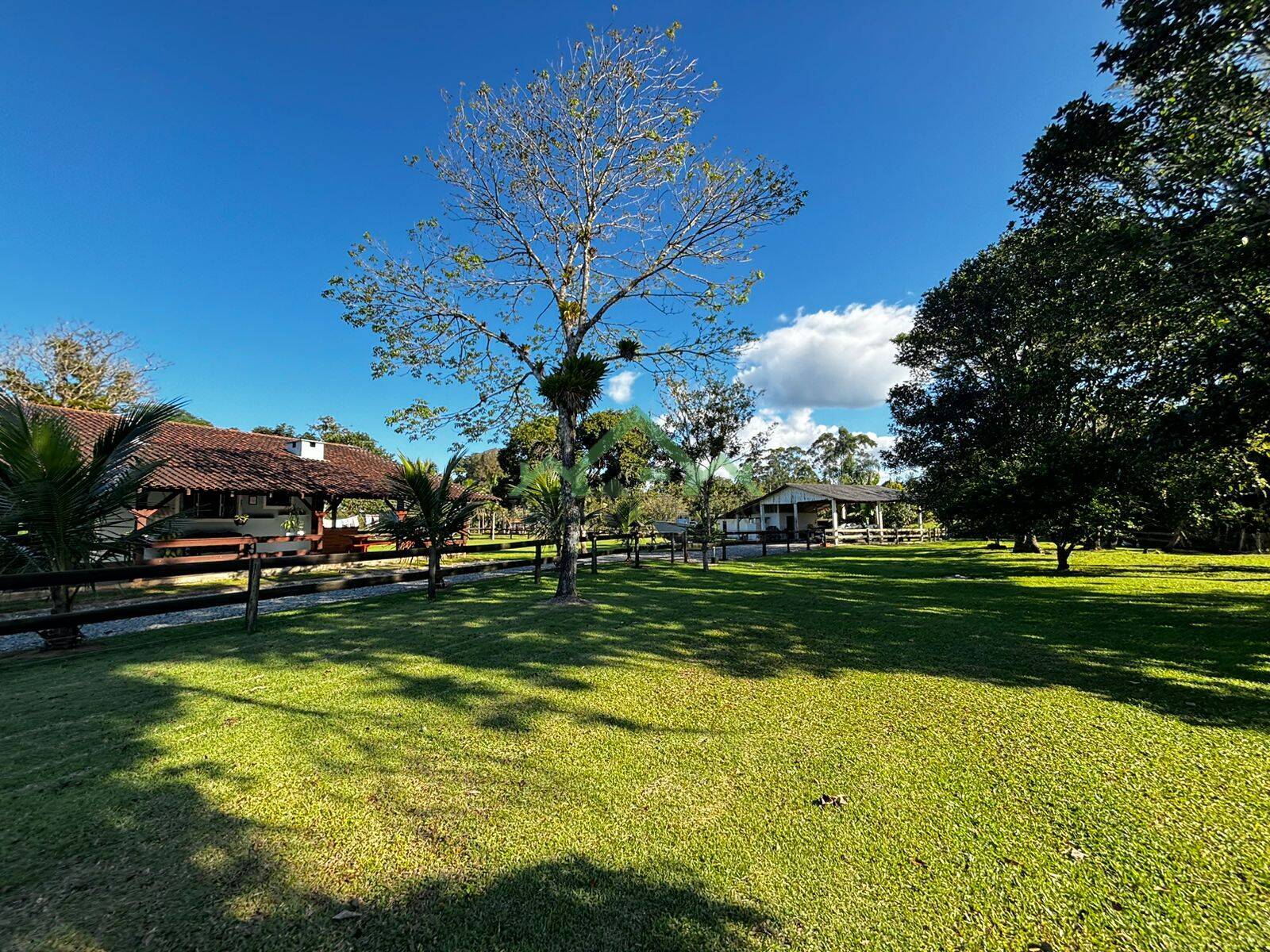 Fazenda à venda com 4 quartos, 150m² - Foto 19