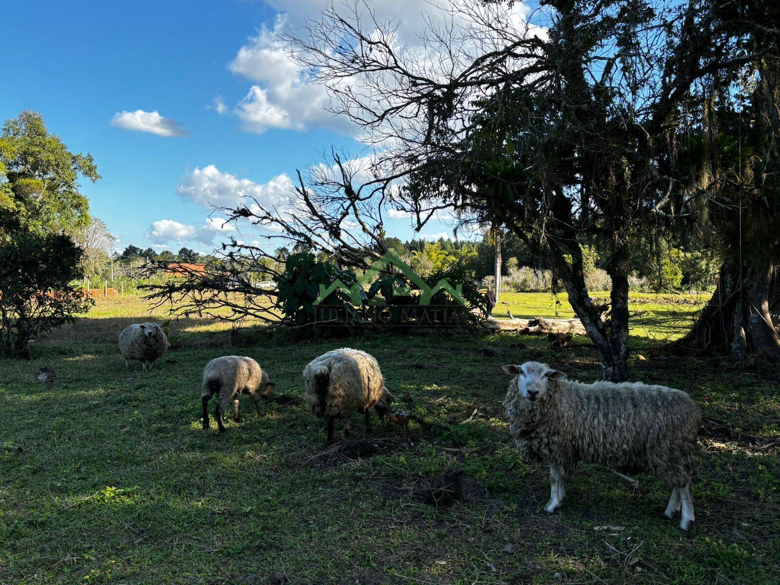 Fazenda à venda com 4 quartos, 150m² - Foto 21