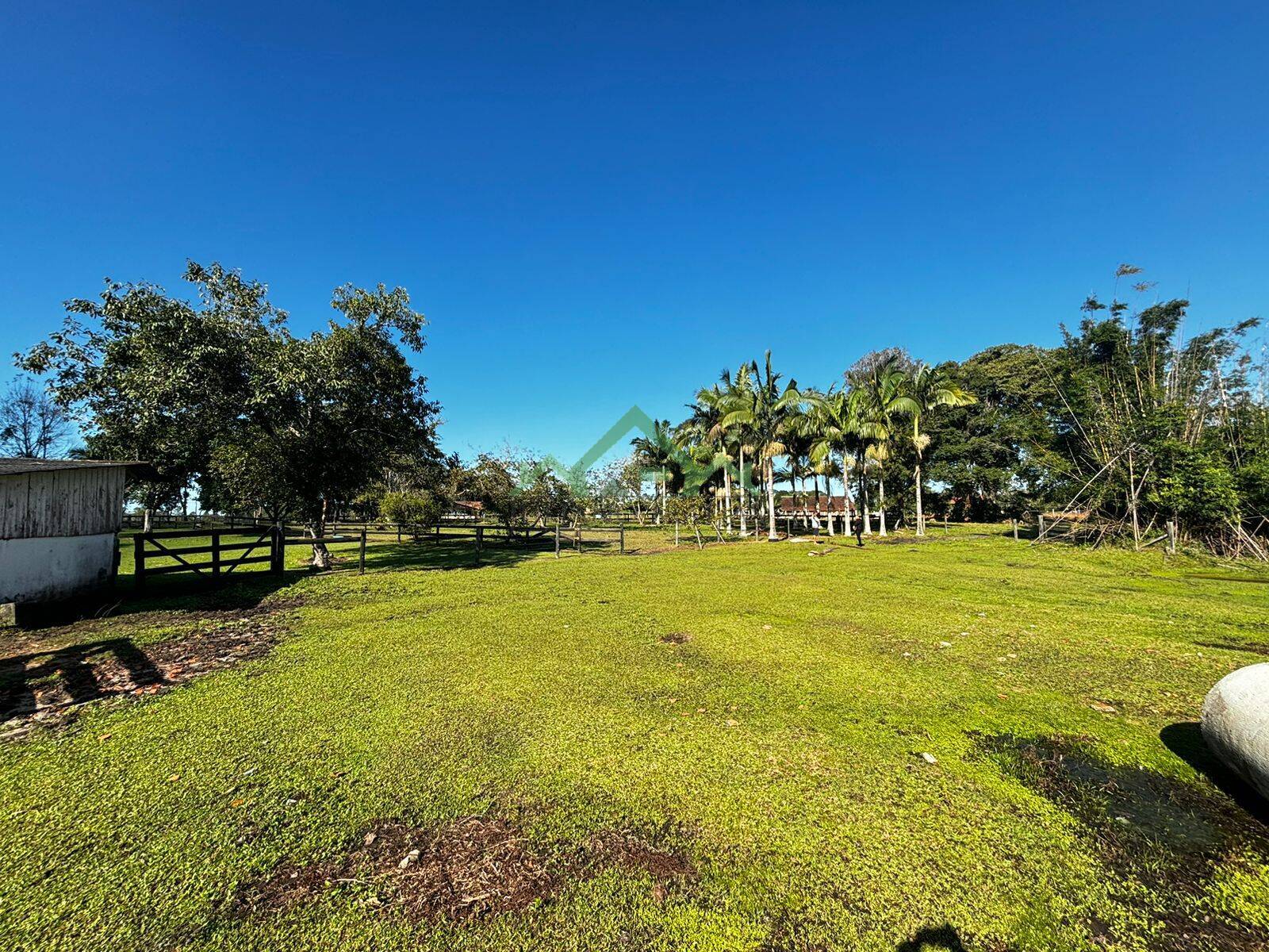 Fazenda à venda com 4 quartos, 150m² - Foto 22