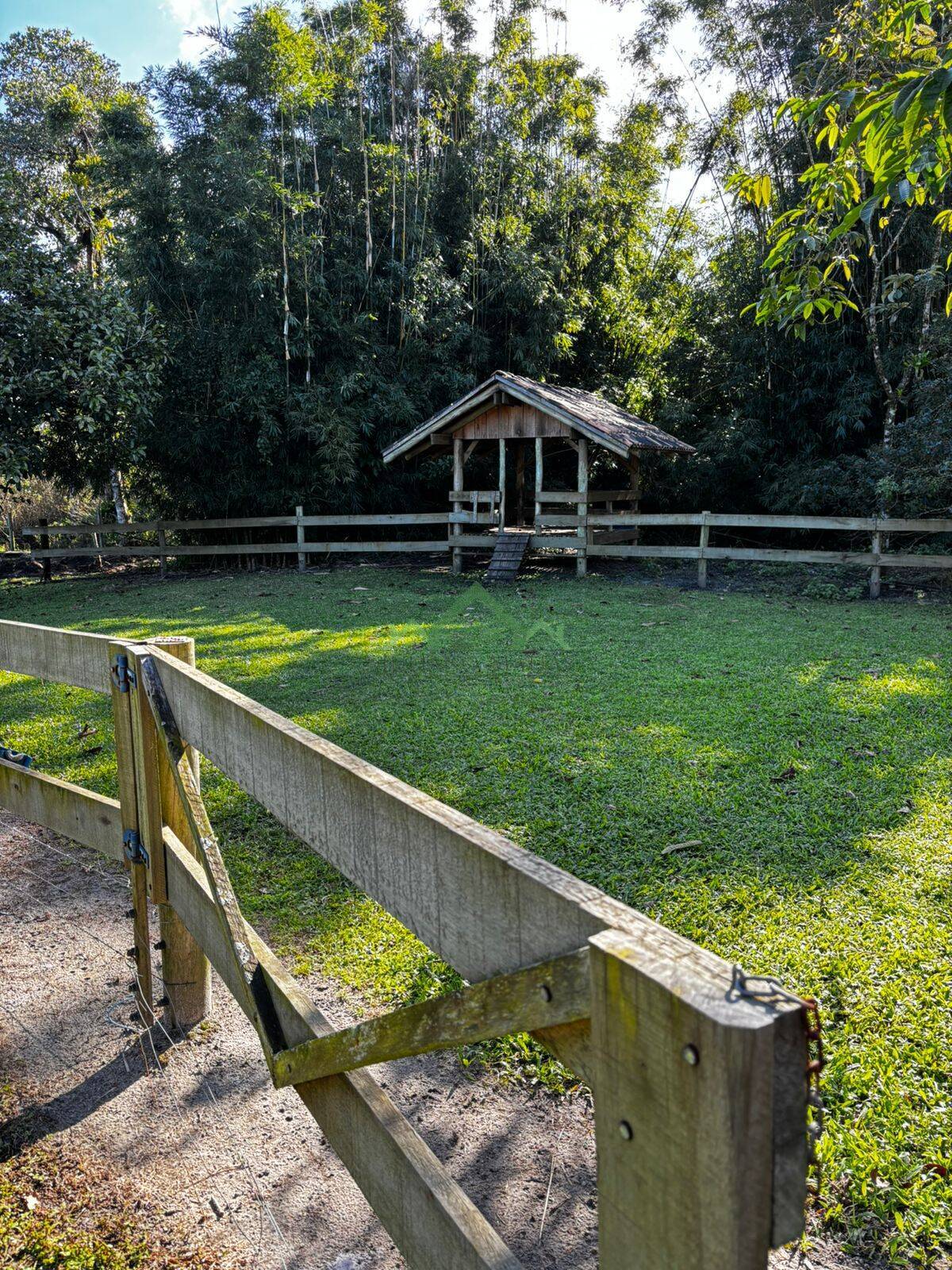 Fazenda à venda com 4 quartos, 150m² - Foto 24