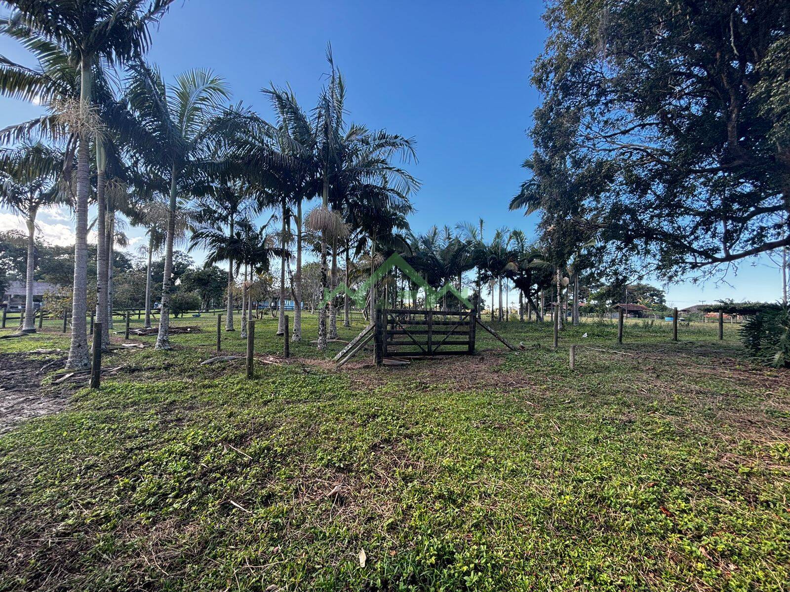 Fazenda à venda com 4 quartos, 150m² - Foto 28