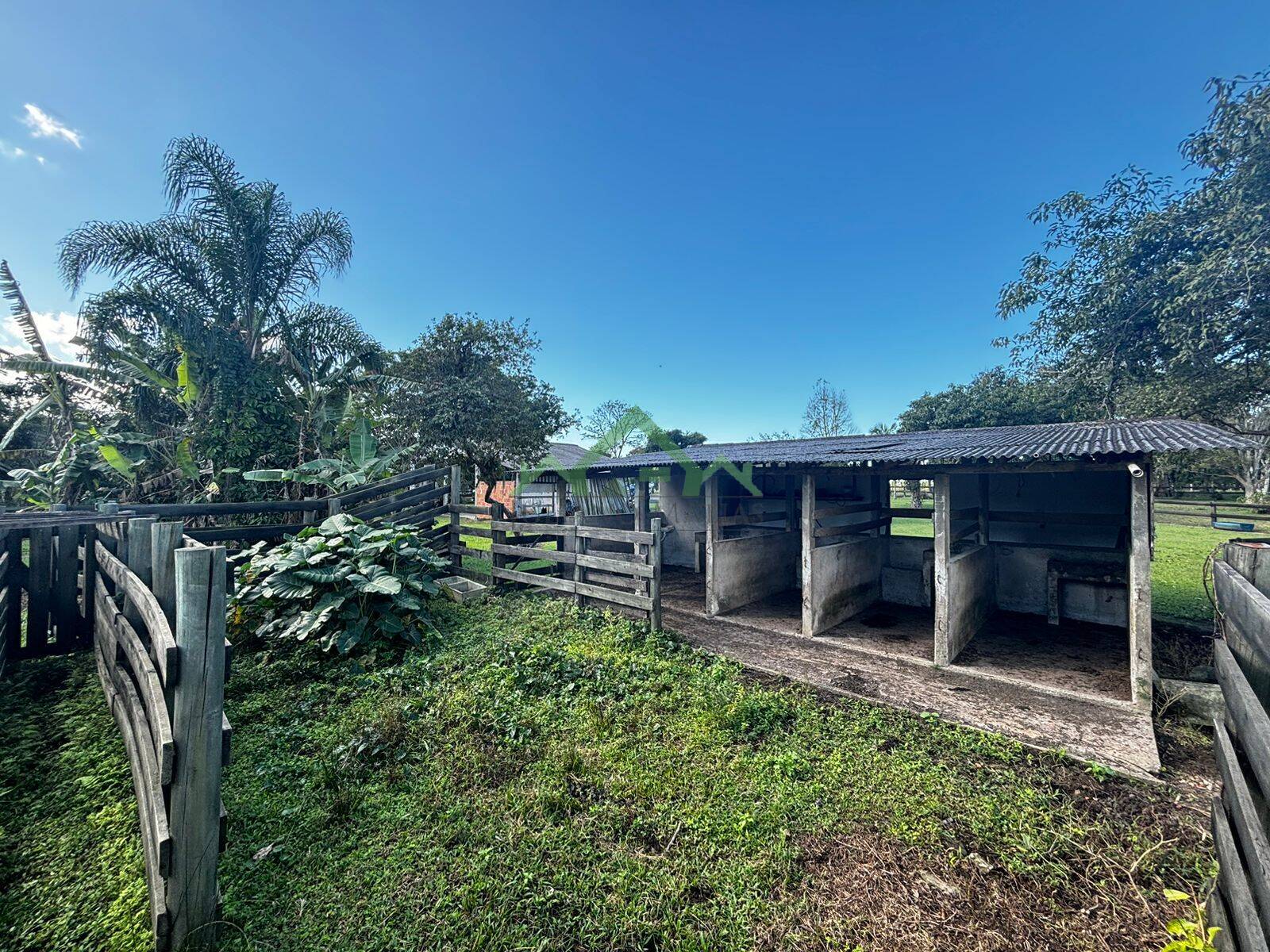 Fazenda à venda com 4 quartos, 150m² - Foto 38