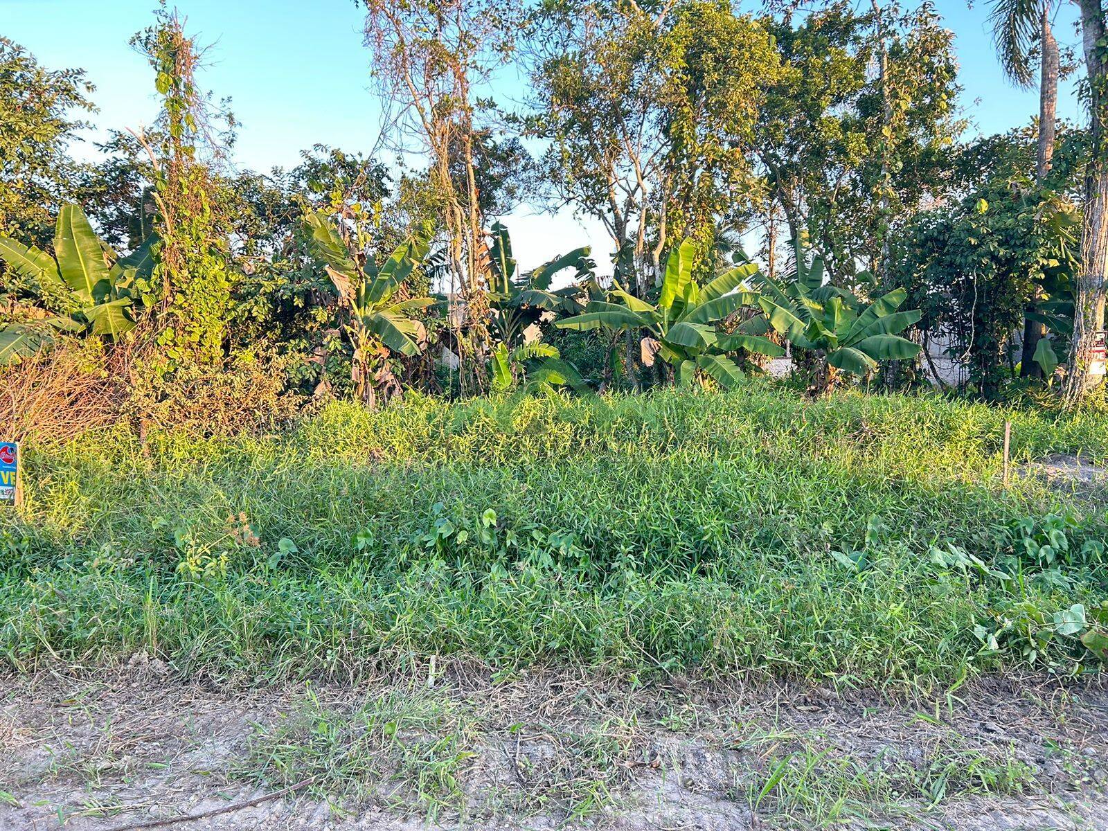 Terreno à venda, 300m² - Foto 1