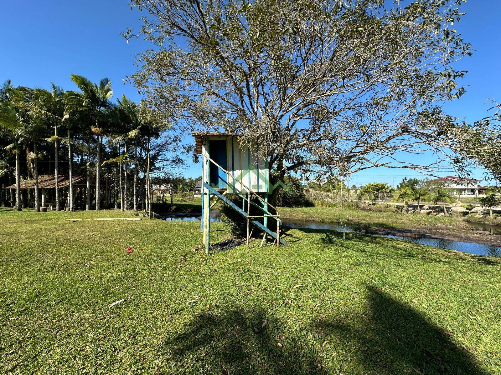 Fazenda à venda com 4 quartos, 230m² - Foto 9